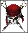 PIRATS