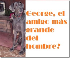 dogg_1101443l