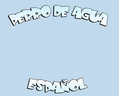 perro