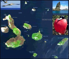galapagos-