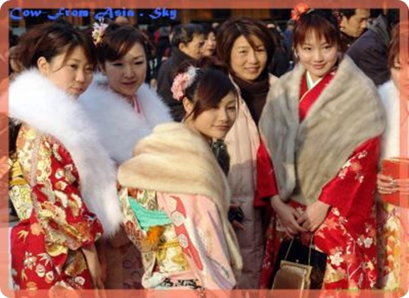 seijin-g