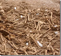 vikingos