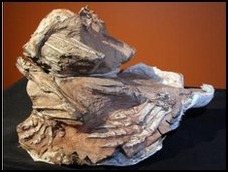DINO- -