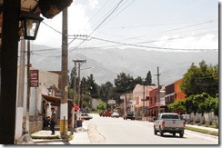 TAFI4