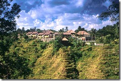 chedi02