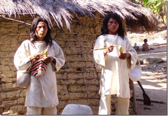 indigenas-koguis