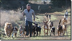 cesar_millan
