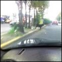 perro