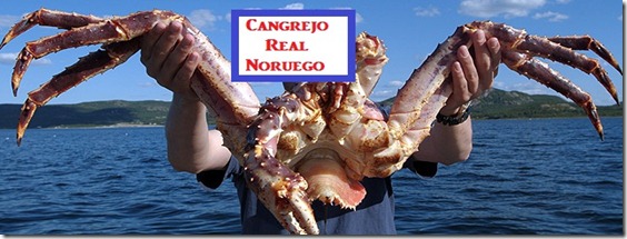 kingcrab_