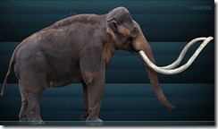 Mammuthus_columbi_Sergiodlarosa