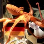 PULPO