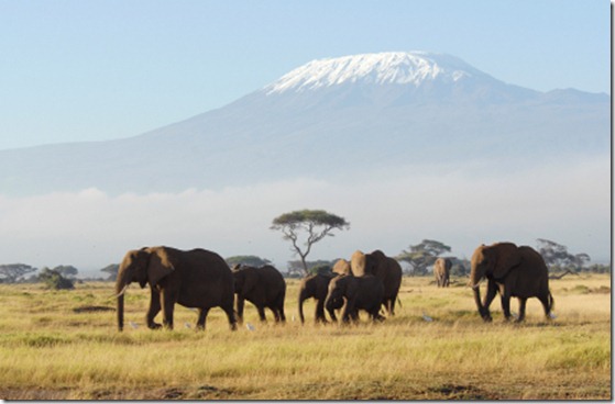 TanzaniaKilimanjaro