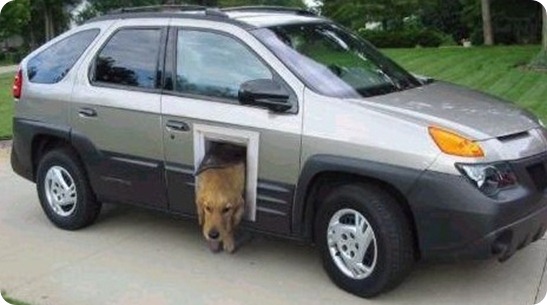coche para perros