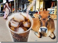 cow_cola