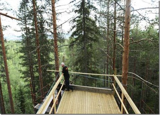 treetophotel.grid-