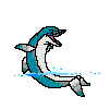 ANIMADOdelfin1