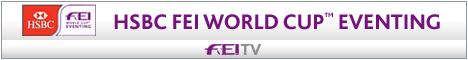 FEITV_468x60