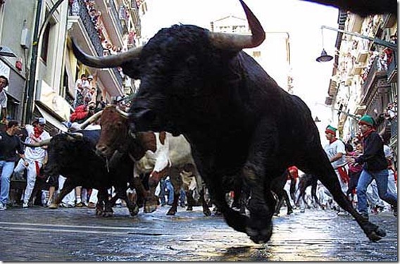 toro00