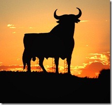 toro5