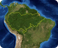 Amazon_rainforest