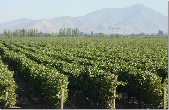 Panoramica Buin al sur