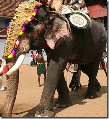 ind