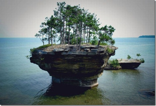 turnip_rock_21-