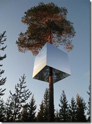 Tree-Hotel-Shaped-Box