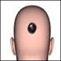 cam