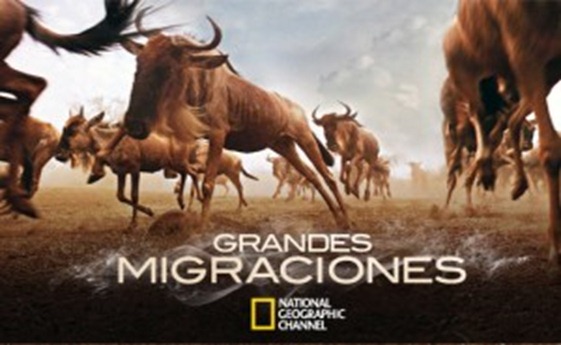 grandesmigraciones_natgeo-300x193