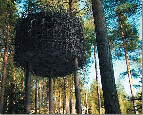 tree-house-hotel2