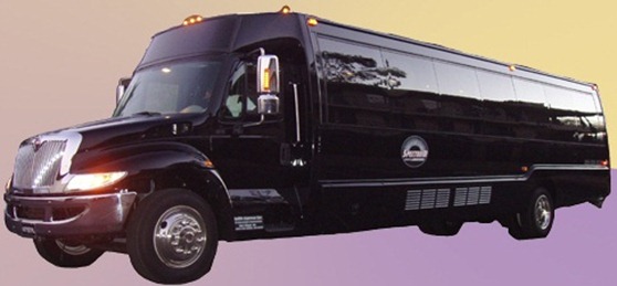 Krystal Koach 38D-LSB Limo Bus2008