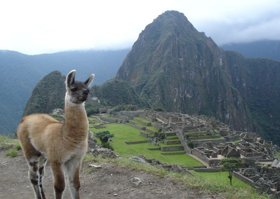 Machu-Picchu5