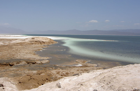 assal1