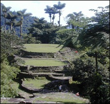 ciudadperdida