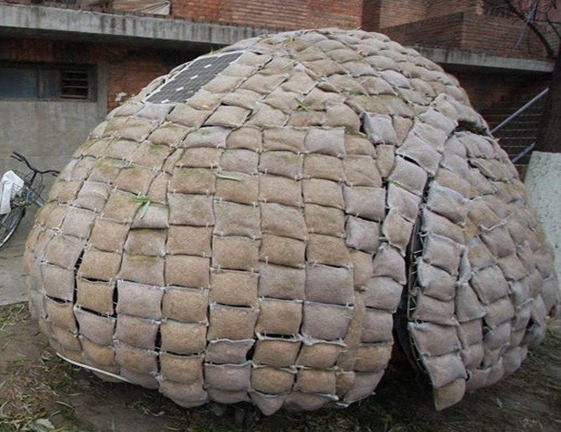 egg3