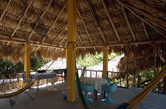 papaya lodge-