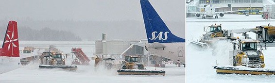 sno_6
