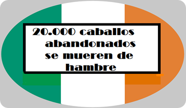 irlanda 1