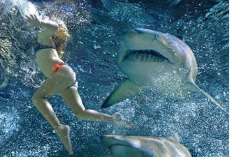 shark-attack-girl