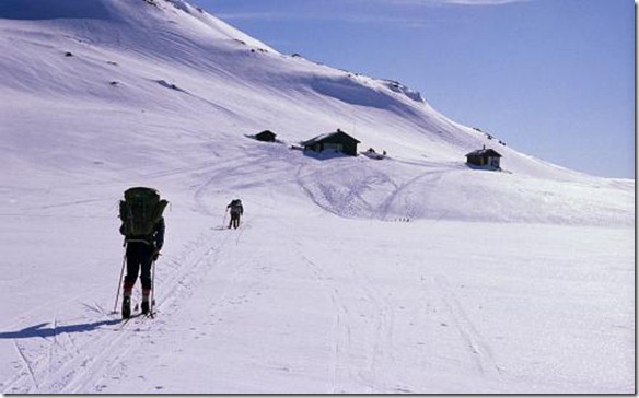 Kringlevatn