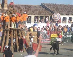 garro 2