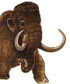 mamut1