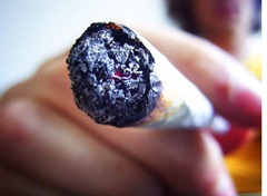 porro4
