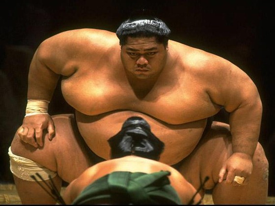 sumo-5