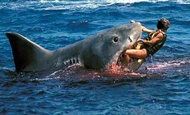 tiburón4