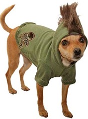 PINSCHER1