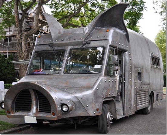 RV M1