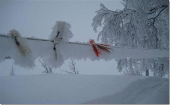 nieve
