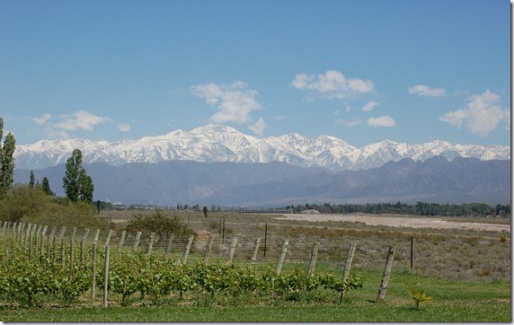 LUJAN DE C